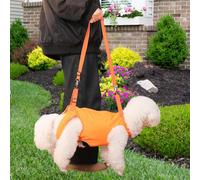 IMMARCHI SUL SUL PURCA DOUGO COMUNICO IMMARCHI SUL COMUNICA