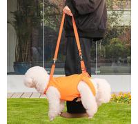 IMMARCHI SUL SUL PURCA DOUGO COMUNICO IMMARCHI SUL COMUNICA