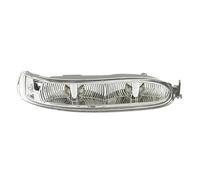 IMMLSX Per Benz W209 Per CLK200 220 240 280 320 2002-2009 Specchietto Retrovisore Laterale Indicatori Di Direzione A LED 2308200821 Specchietto Retrovisore Indicatore(Right passenger side)