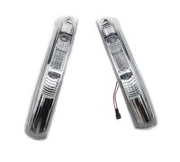 IMMLSX Per CHEVROLET Per CAPTIVA 2007-2010 Luce Di Segnalazione Dello Specchietto Laterale A LED Anteriore Sinistro Destro Specchietto Retrovisore Indicatore(PAIR)