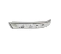 IMMLSX Per Hyundai Per Santa Fe Per Fantafe Per Veracruz IX55 2007-2012 Specchietto Retrovisore Laterale Indicatore Di Direzione Luce Ripetitrice A LED Specchietto Retrovisore Indicatore(Left Side)