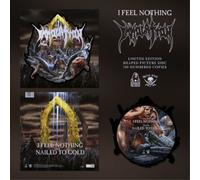 Immolation I Feel Nothing (Vinyl LP) 12" Album Picture Disc