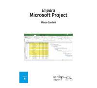 Impara Microsoft Project: versione a colori
