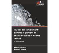 Impatti dei cambiamenti climatici e pratiche di adattamento nelle risorse idriche: Un caso di Salyantar...