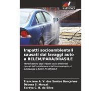 Impatti socioambientali causati dai lavaggi auto a BELÉM/PARÁ/BRASILE: Identificazione degli impatti socio-ambientali causati dall'installazione e dal funzionamento di autolavaggi a Belém-PA-BRASILE