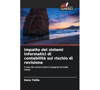 Impatto dei sistemi informatici di contabilità sul rischio di revisione: Il caso dei revisori esterni impegnati ad Addis Abeba