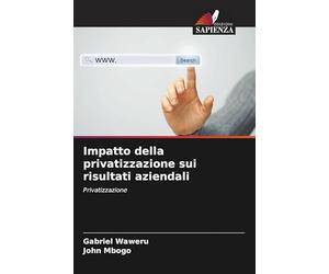 Impatto della privatizzazione sui risultati aziendali: Privatizzazione