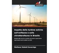 Impatto delle turbine eoliche sull'avifauna e sulla chirotterofauna in Brasile: Risultati delle ricerche condotte nel mondo e panoramica degli impianti eolici brasiliani nel 2009