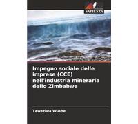Impegno sociale delle imprese (CCE) nell'industria mineraria dello Zimbabwe