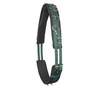 Imperial Riding IRH Deluxe Extra, Imbracatura ergonomica con garrese e Anelli Metallici, Verde Foresta, COB