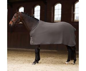 Imperial Riding IRH Fundamental Basic - Coperta antisudore, funzionale e traspirante, in pile polare che assorbe il sudore, chiusura frontale in pile ad asciugatura rapida, per cavalli, grigio, 165
