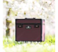 Imperial Riding IRHShiny - Scatola per la Pulizia con Serratura a Combinazione, Scomparti Regolabili, con Specchio nel Coperchio, Scatola per la Pulizia di Alta qualità, 38 x 28 x 32 cm, fico