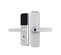 Impermeabile Tuya Sicurezza Biometrica Delle Impronte Digitali Intelligente Smart WiFi APP Password Serratura Elettronica(Silver 60)