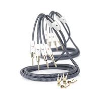 Impeto Cavo per Altoparlanti qualità Audiophile, Connettore a Banana placcati in oro 24K High end, in rame, 6N OFC, 14AWG, per casse acustiche Amplificatore Hi-Fi (2 M, 2 pcs)