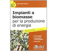 Impianti a biomasse per la produzione di energia