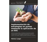 Implementación de estrategias en pymes mediante la aplicación de un BSC