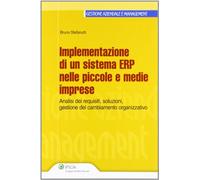 Implementazione Di Un Sistema Erp Nelle Piccole E
