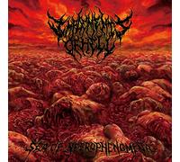 Implements Of Hell - Sea Of Necrophenomena