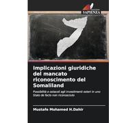 Implicazioni giuridiche del mancato riconoscimento del Somaliland: Possibilità e ostacoli agli investimenti esteri in uno Stato de facto non riconosciuto