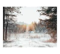 Impossible Puzzle da 1500 Pezzi -foreste,margini,neve 87x57cm