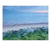 Impossible Puzzle da 1500 Pezzi -Muschio,Costa,Mare,Orizzonte 87x57cm