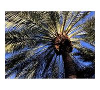 Impossible Puzzle da 1500 Pezzi -Palma,albero,foglie,vista dal basso 87x57cm