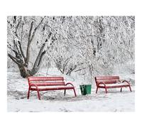 Impossible Puzzle da 1500 Pezzi -Panchine,brina 87x57cm