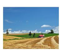 Impossible Puzzle da 500 Pezzi -Campo,economia,fieno 52x38cm