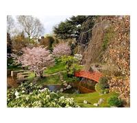 Impossible Puzzle da 500 Pezzi -Fioritura,alberi,ponte 52x38cm