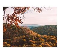 Impossible Puzzle da 500 Pezzi -foreste,vista aerea,autunno 52x38cm