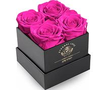 Impouo Scatola di Rose, Rose Infinite, Rosa conservata, Rosa eterna, Regali di Compleanno per Donne, Regali per Madre/Fidanzata/Moglie/Nonna, Compleanno, San Valentino, Fiore eterno