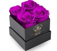 Impouo Scatola di Rose, Rose Infinite, Rosa conservata, Rosa eterna, Regali di Compleanno per Donne, Regali per Madre/Fidanzata/Moglie/Nonna, Compleanno, San Valentino, Fiore eterno