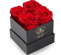 Impouo Scatola di Rose, Rose Infinite, Rosa conservata, Rosa eterna, Regali di Compleanno per Donne, Regali per Madre/Fidanzata/Moglie/Nonna, Compleanno, San Valentino, Fiore eterno