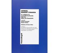 Imprese, banche e finanza. Le evidenze di un'analisi territoriale alla luce della crisi finanziaria