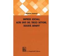 Imprese sociali, altri enti del terzo settore, società benefit