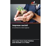Imprese sociali: Un confronto tra i diversi approcci