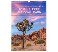 Impressionen aus dem JOSHUA TREE NATIONAL PARK (Wandkalender 2027 DIN A3 hoch),