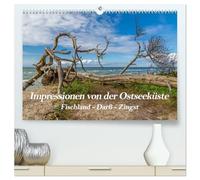 Impressionen von der Ostsee Fischland-Darß-Zingst (hochwertiger Premium Wandkalender 2026 DIN A2 quer), Kunstdruck in Hochglanz: Eine der abwechslungsreichsten Küstenlandschaften an der Ostsee