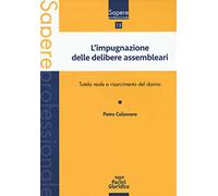 Impugnazione delle delibere assembleari. Tutela reale e risarcimento del danno