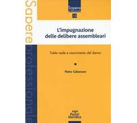 Impugnazione delle delibere assembleari. Tutela reale e risarcimento del danno