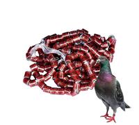 Imtrub 50 anelli per zampe di piccione in alluminio - 2025 anni, durevoli, multicolore, per identificare gli anelli per i piccioni, per l'identificazione del pollame