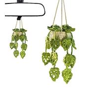 Imtrub Pianta sospesa all'Uncinetto per Auto, Cestino per Piante a Maglia da Appendere Specchio 'Auto, per Auto, Decorazione per la Fidanzata