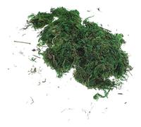 IMUSINICE Muschio Artificiale 20g Aspetto Realistico in Plastica e Sollievo Gli Occhi per Decorazione di Mini Paesaggi e Diorami per Ufficio e Composizioni Floreali
