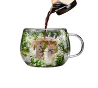 in a doppia parete con fiori secchi, resistente al calore da 300 ml con manico, 9,5 x 8 cm, per ufficio, bar, casa, perfetta per bevande fredde, tè, caffè, regalo decorativo per la