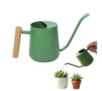 In Acciaio Inossidabile: Barattolo per Piante da 1 Litro, Vaso da Giardino per Fiori, BOT per Piante da Appartamento per Irrigare Bonsai, Irrigazione | Design Moderno
