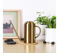 In Acciaio Inox Irrigazione Può A Lungo Beccuccio Vaso 50oz/1.5L per Interni