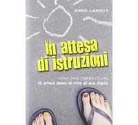 In attesa di istruzioni. Come sono sopravvissuta al primo anno di vita di mio figlio