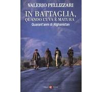 In battaglia, quando l'uva è matura. Quarant'anni di Afghanistan