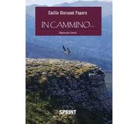 In cammino...