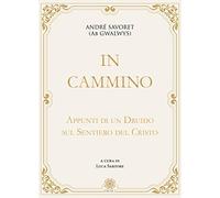 In cammino. Appunti di un druido sul sentiero del Cristo